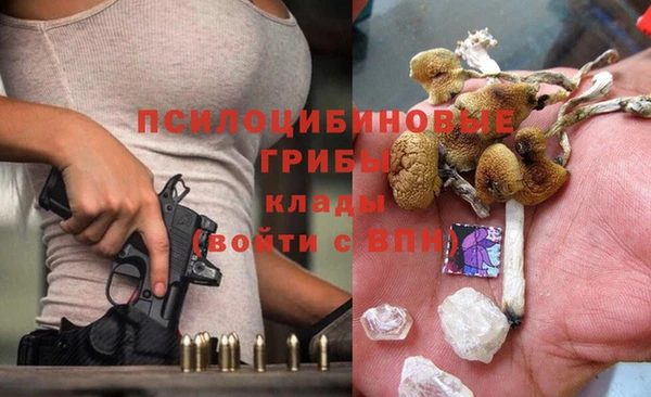меф Алапаевск