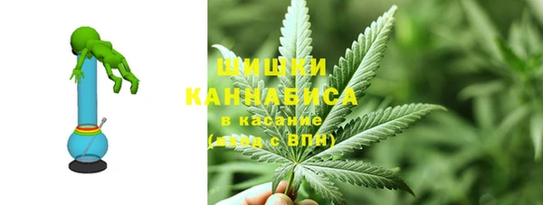мдпв Михайловск