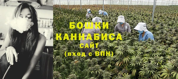мдпв Михайловск