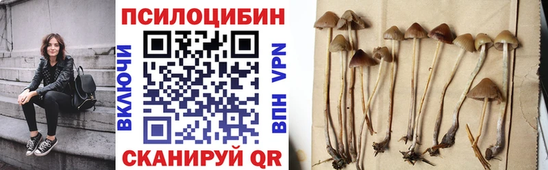 купить закладку  Липецк  Галлюциногенные грибы GOLDEN TEACHER 